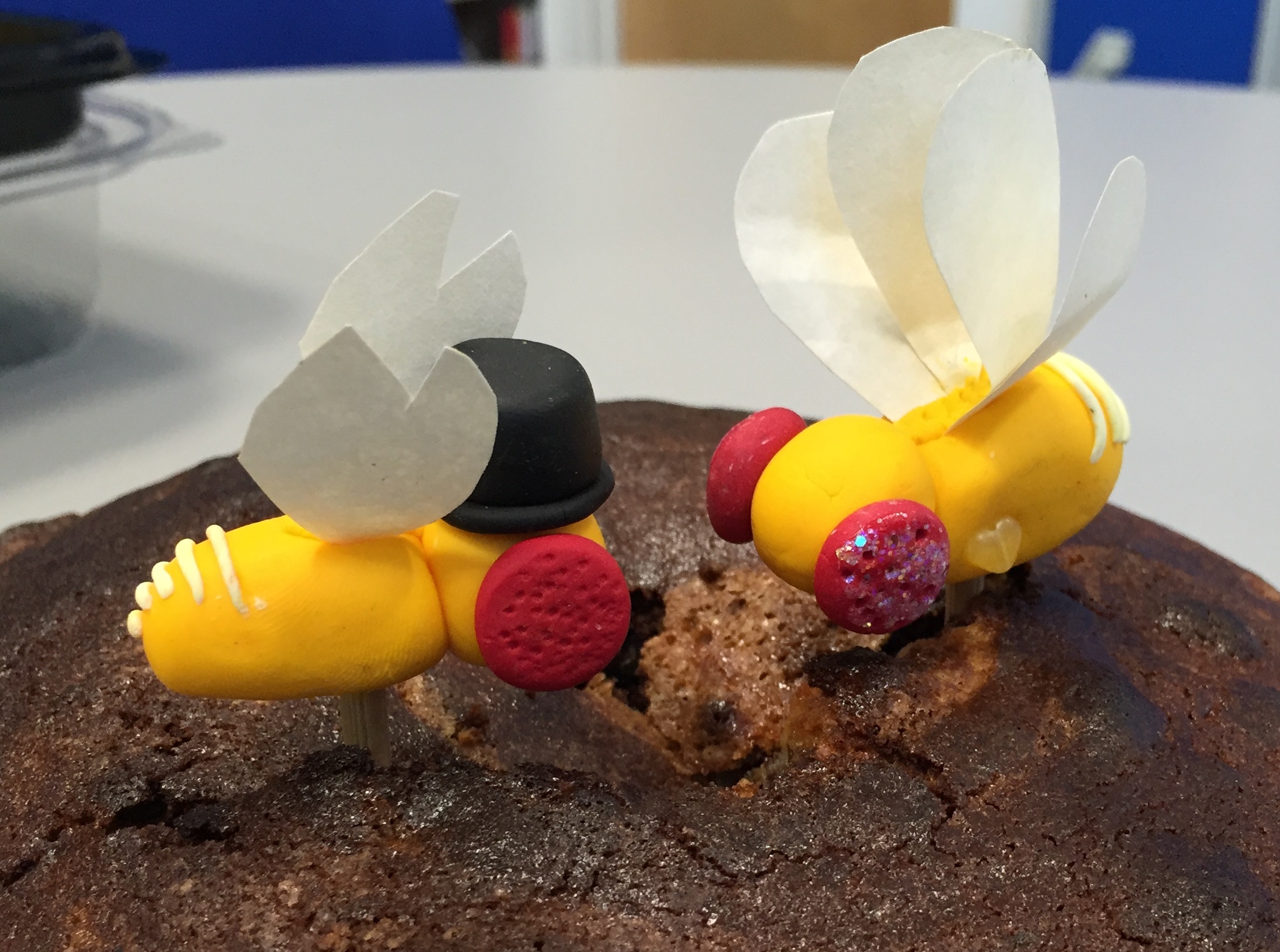 Cake Project | ashe lab